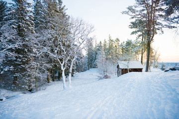 winter landscape with trees near wood