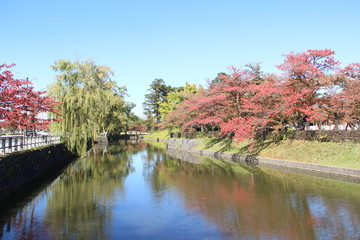 秋の鶴岡公園