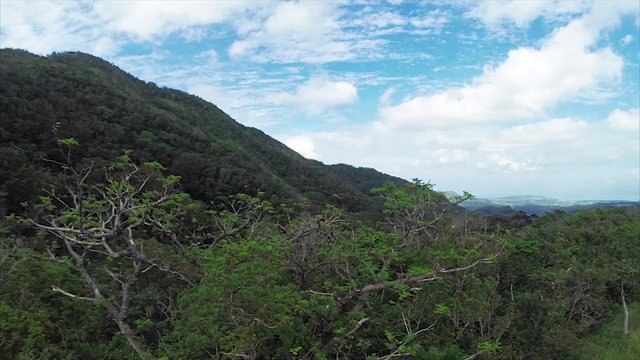 AERIAL OKINAWA mounten