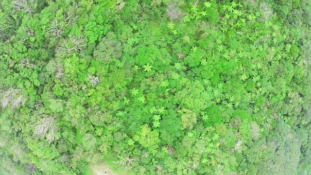 Imagens de Mounten – Explore Fotografias do Stock, Vetores e Vídeos de ...