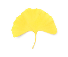 Naklejka premium Fall leaf isolated on white