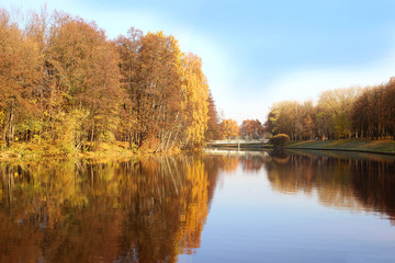 Fototapeta na wymiar Beautiful autumn park. Autumn in Minsk. Autumn trees and leaves. Autumn Landscape.Park in Autumn. Mirror reflection of trees in water. Minsk city. Victory park in Minsk