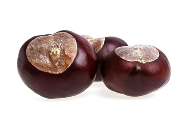 Obraz premium Chestnuts isolated on a white background