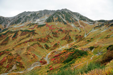 autumn colors, Tateyama mountain range, Japan
