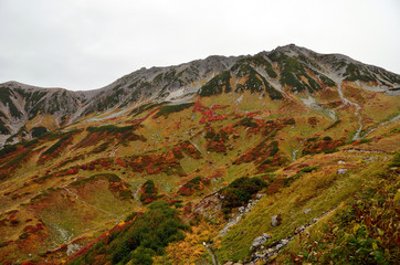 autumn colors, Tateyama mountain range, Japan
