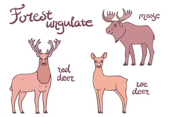 Forest ungulate animals set. 