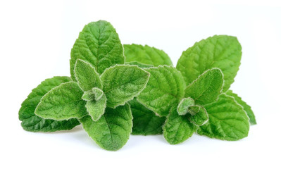 Mint leaves © margo555