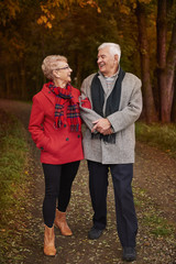 Senior couple walking in the woodland
