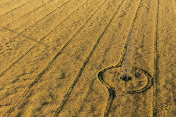aerial view of harvest fields