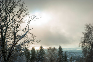 View to Holmenkollen, Oslo over trees in winter