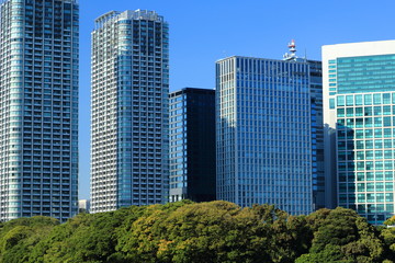 Obraz premium 汐留の高層ビル群