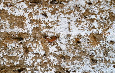 Rough texture © maksymholovinov