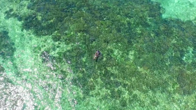 空撮 シーカヤック カヌー