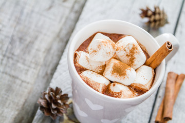 Hot chocolate with marshmallow and pine cones