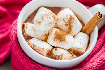 Hot chocolate with marshmallow and pine cones