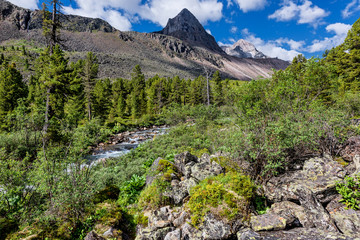 Fototapeta premium Narrow strip of wood at a mountain river