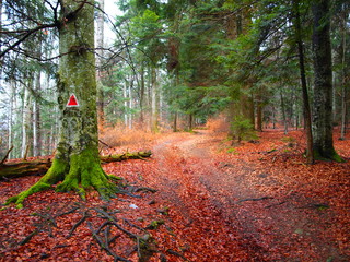 Bucegi Mountains Trail