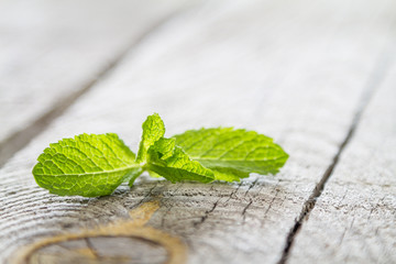 Mint leaf on rustic wood background