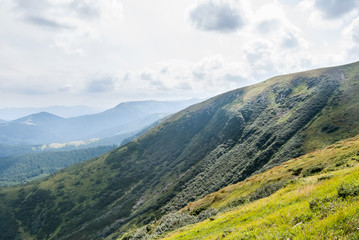 Fototapeta premium Widok z Howerli. Piękna dolina w Karpatach w U