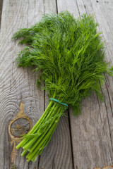 Dill bunch on rustic wood background