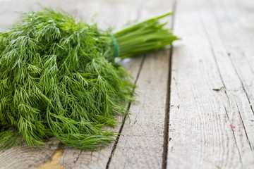 Dill bunch on rustic wood background
