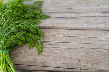 Dill bunch on rustic wood background