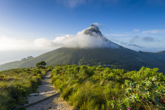 Tourist hikers up Cape Town, Table Mountain landscape, overlooking Lions Head peak