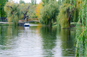 прогулка в парке