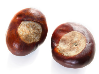 Isolated chestnuts
