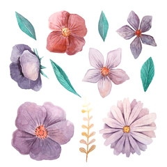 Watercolor flowers and leaves