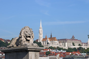 Fototapeta na wymiar Lion statue and Fisherman bastion Budapest