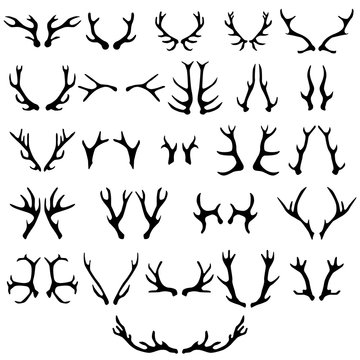 Deer antlers silhouette set