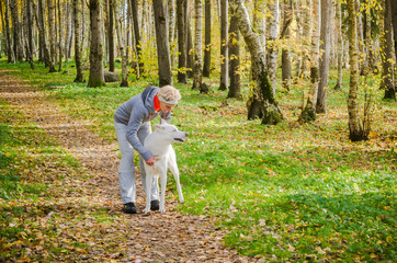 Fototapeta premium Woman with dog walking in the birch alley, sunny autumn day