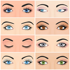 Naklejka premium Set of female eyes and brows image with beautifully fashion design
