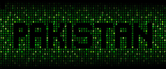 Pakistan text on hex code illustration