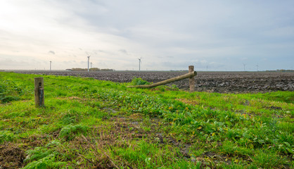 Fototapeta premium Tracks along a plowed field in autumn