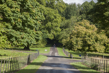 Killarney National Park, County Kerry