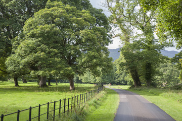 Obraz premium Killarney National Park; County Kerry