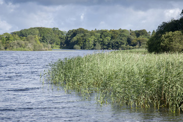 Lough Leane Lake, Killarney National Park