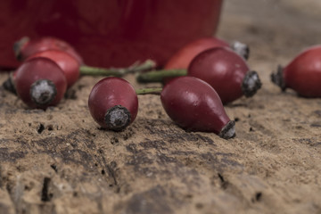 rose hip