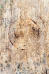 Texture of wood background closeup