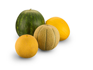 Group of Organic Melons