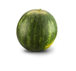 Organic Watermelon