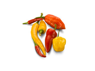 Organic Mixed Hot Chilli Peppers