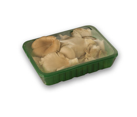 Organic oyster mushrooms in green box