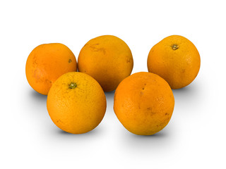 Organic Medium Oranges