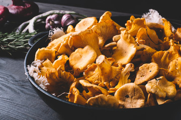 Mushrooms in a pan with rosemary, garlic, onions, green beans and spices on a black background of the old wooden boards vintage