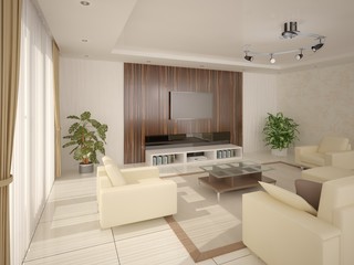 Сontemporary living room.