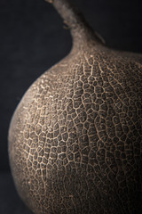 Black radish on the dark background vertical