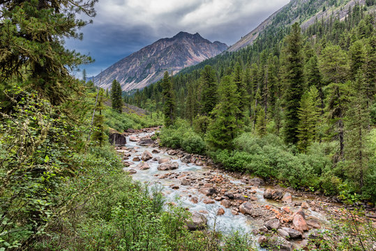 Mountain river in cloudy weather